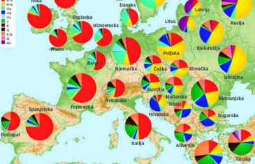 KONAČNO JE GENETSKI DOKAZANO: Među Bošnjacima, Srbima i Hrvatima…