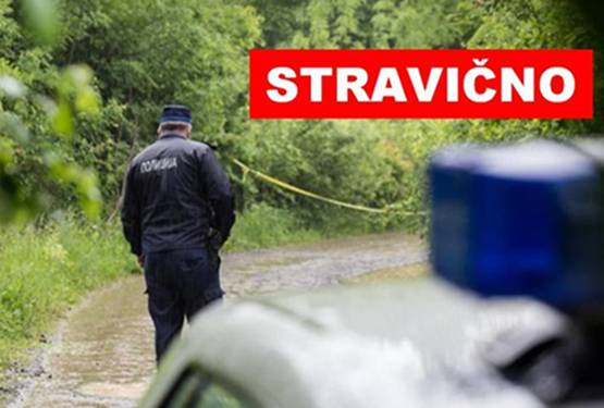 STRAVIČAN ZLOČIN JUTROS NA PALAMA PORED SARAJEVA: Sjekirom ubila majku, pa nazvala policiju