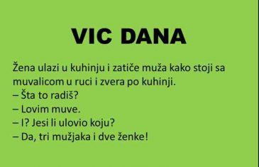 VIC DANA: Muhe