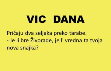 VIC DANA: Vrijedna snajka