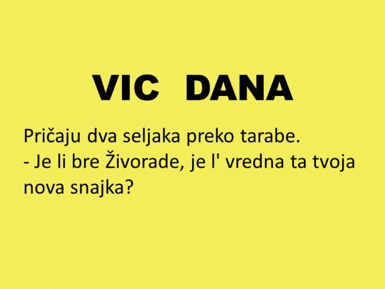 VIC DANA: Vrijedna snajka