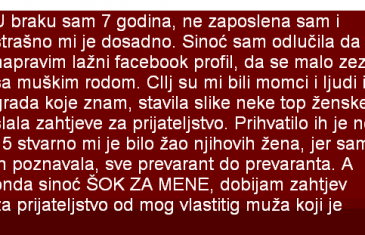 U BRAKU SAM 7 GODINA,  STRAŠNO MI JE DOSADNO. SINOĆ SAM ODLUČILA DA NAPRAVIM LAŽNI PROFIL