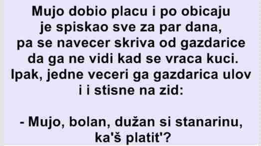 Mujo dobio plaću i po običaju je spiskao sve za par dana