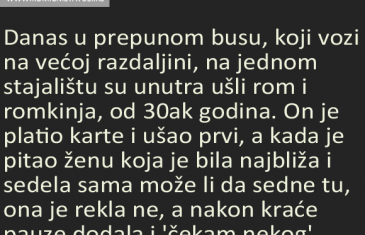 Danas u prepunom busu, koji vozi na većoj razdaljini, na jednom stajalištu su unutra ušli rom i romkinja, od 30ak godina…