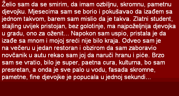 ŽELIO SAM DA SE SMIRIM, DA IMAM OZBILJNU, SKROMNU, PAMETNU DJEVOJKU…