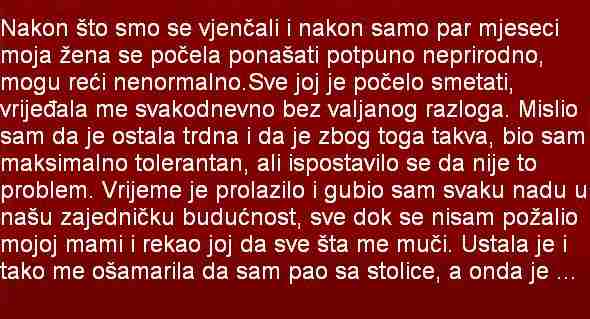 NAKON ŠTO SMO SE VJENČALI I NAKON SAMO PAR MJESECI MOJA ŽENA SE POČELA