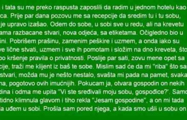 MAMA I TATA SU ME PREKO RASPUSTA ZAPOSLILI DA RADIM U JEDNOM HOTELU KAO SOBARICA…