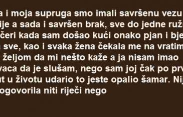 IMAO SAM BRAK ZA POZELJETI SVE JE BILO SAVRSENO SVE DO JEDNE VECERI…