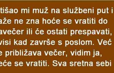 OTIŠAO MI MUŽ NA SLUŽBENI PUT I KAŽE NE ZNA HOĆE SE VRATIT DO NAVEČER