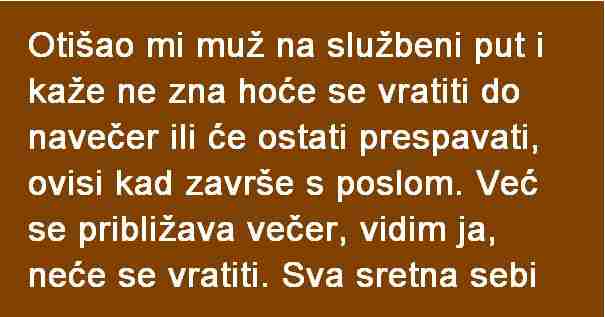 OTIŠAO MI MUŽ NA SLUŽBENI PUT I KAŽE NE ZNA HOĆE SE VRATIT DO NAVEČER