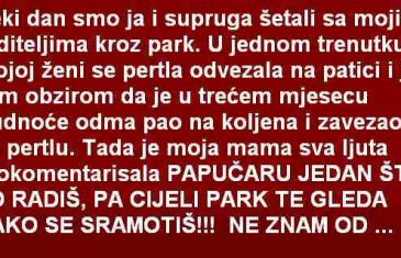 NEKI DAN SMO JA I SUPRUGA ŠETALI SA MOJIM RODITELJIMA KROZ PARK…