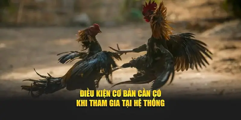 Điều kiện cơ bản cần có khi tham gia tại hệ thống